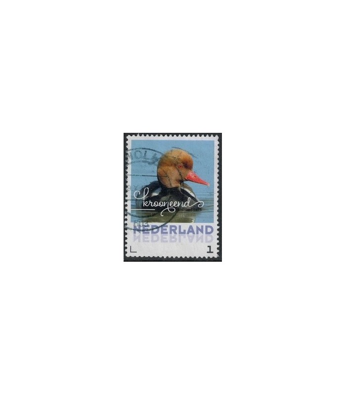 2017 Zomervogels Krooneend (o) 2017 Zomervogels Krooneend (o)