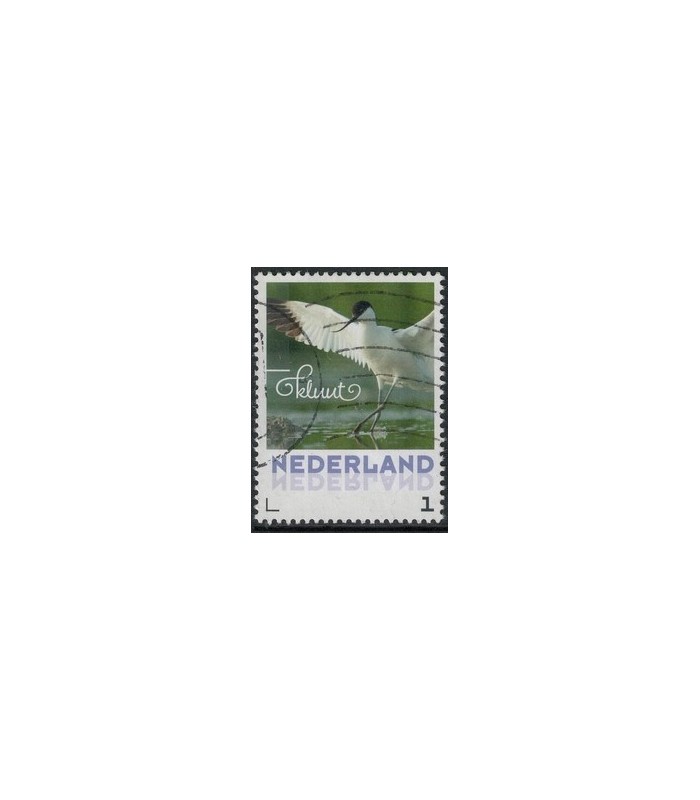 2017 Zomervogels Kluut (o) 2017 Zomervogels Kluut (o)