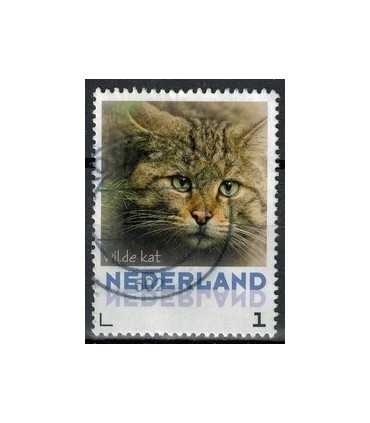 3013 Zoogdieren grijze Zeehond (o)