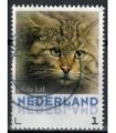 3013 Zoogdieren Wilde Kat (o)