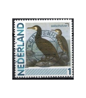 2791Aa 01 Aalscholver (o)