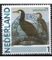 2791Aa 01 Aalscholver (o)
