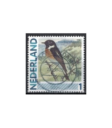 2791Aa 01 Aalscholver (o)