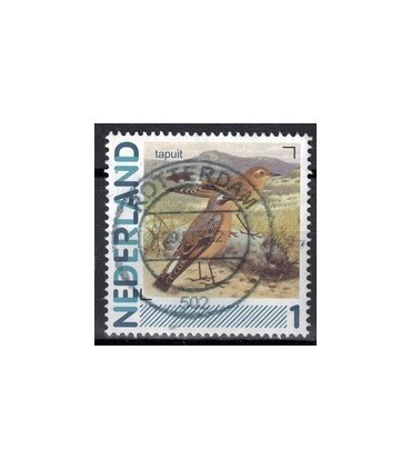 2791Aa 01 Aalscholver (o)