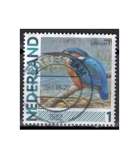 2791Aa 01 Aalscholver (o)