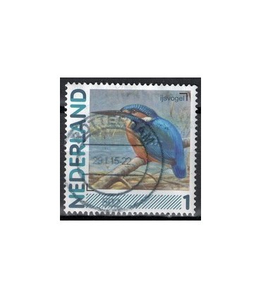 2791Aa 01 Aalscholver (o)