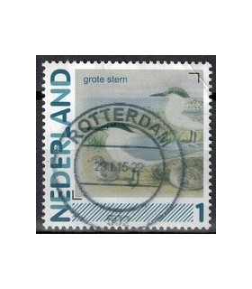 2791Aa 01 Aalscholver (o)