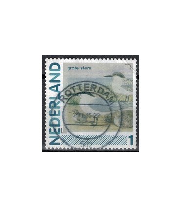 2791Aa 01 Aalscholver (o)