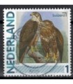 2791Aa 08 Buizerd (o)