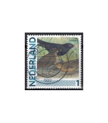 2791Aa 01 Aalscholver (o)