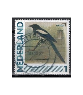2791Aa 01 Aalscholver (o)