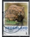 3013 Zoogdieren Woelrat (o)