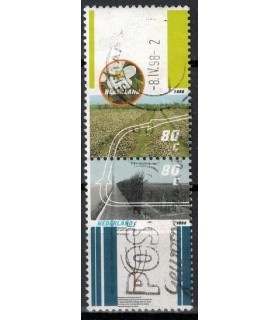 Comb. 393 (o) 