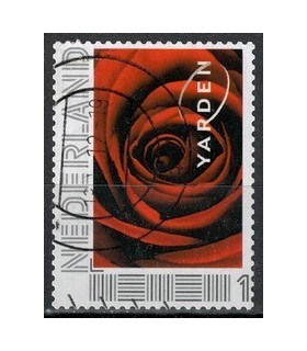 Yarden 5. (o) 