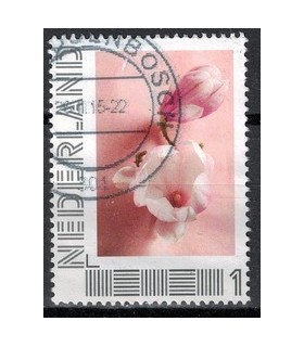 2751 B-2 Lentelandschappen (o) 2.