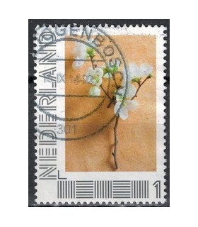 2751 B-2 Lentelandschappen (o) 3.
