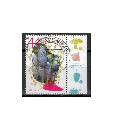 2597 Inktzwam TAB (o)