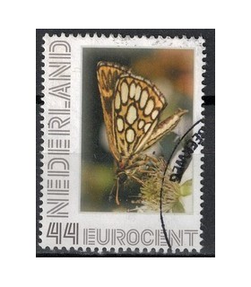 2563 Ae-56 Vlinders Spiegeldikkopje (o)