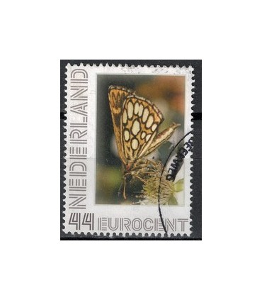 2563 Ae-56 Vlinders Spiegeldikkopje (o)