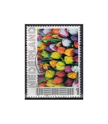 2751 Ha-11 Tulpen (o)