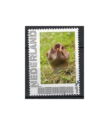 2751 E -1 Staatsbezoek Indonesie (o)