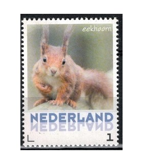 3013 Zoogdieren Eekhoorn (xx)
