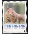 3013 Zoogdieren Eekhoorn (xx)
