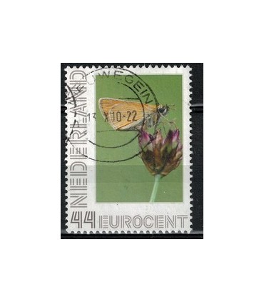 2563 Ae-21 Geelspiet dikkopje (o)