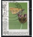 2563 Ae-21 Geelspiet dikkopje (o)