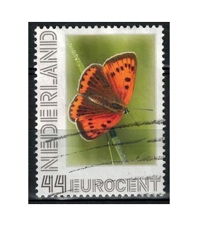2563 Ae-30 Grote vuurvlinder (o)