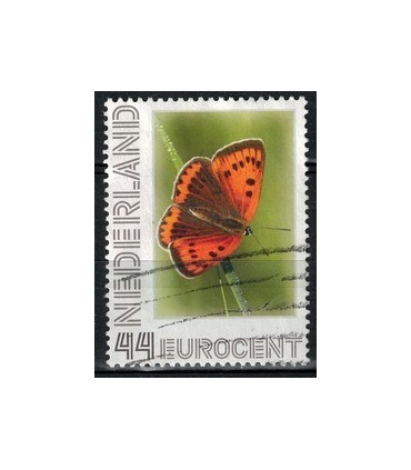 2563 Ae-30 Grote vuurvlinder (o)