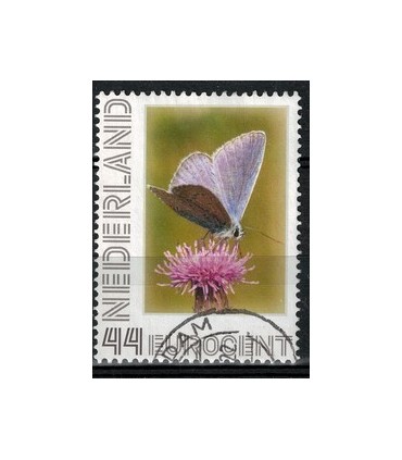 2563 Ae-35 Icarusblauwtje (o)