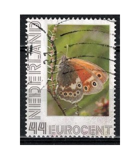 2563 Ae-59 Veenhooibeestje (o)
