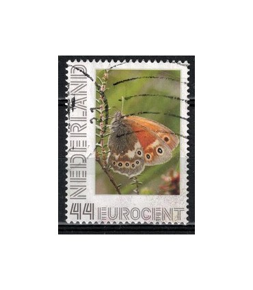 2563 Ae-59 Veenhooibeestje (o)