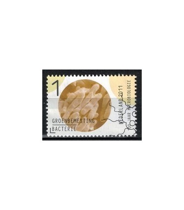 2838 Microbiologie groenbemesting (o)