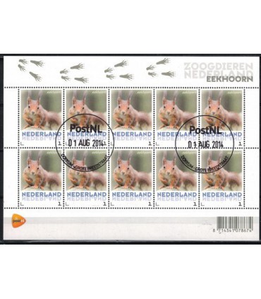 3013 Zoogdieren Eekhoorn (o)