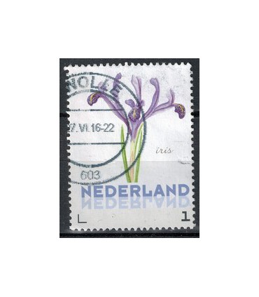 3012 Ac-01 Bloemen voorjaar iris (o)