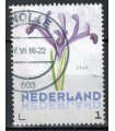 3012 Ac-01 Bloemen voorjaar iris (o)