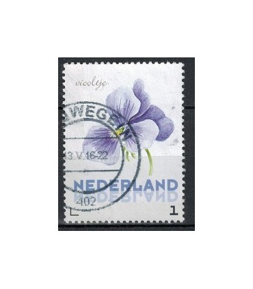 3012 Ac-01 Bloemen zomer viooltje (o)