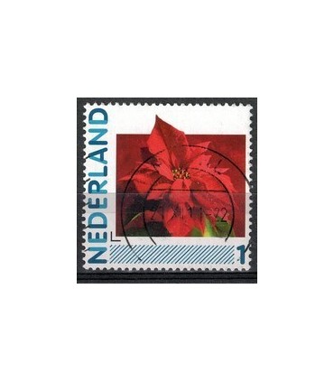 2791 Hb-21 Kerstster (o)