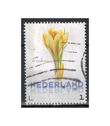 3012 Ac-01 Bloemen voorjaar krokus (o)