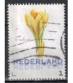 3012 Ac-01 Bloemen voorjaar krokus (o)