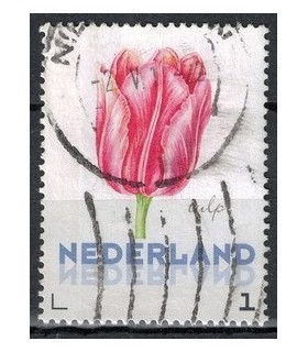 3012 Ac-01 Bloemen voorjaar tulp (o)
