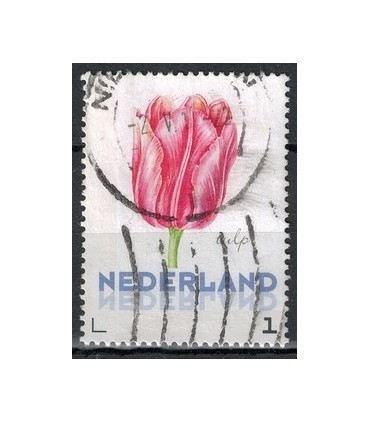 3012 Ac-01 Bloemen voorjaar tulp (o)