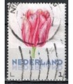 3012 Ac-01 Bloemen voorjaar tulp (o)