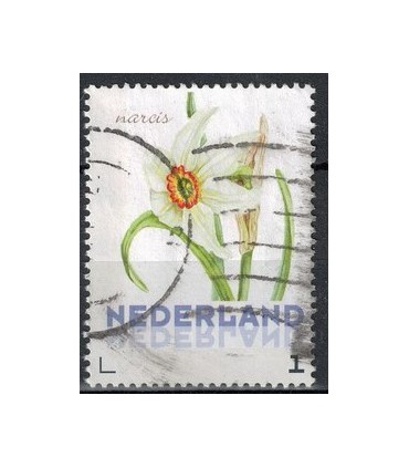 3012 Ac-01 Bloemen voorjaar narcis (o)