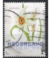 3012 Ac-01 Bloemen voorjaar narcis (o)