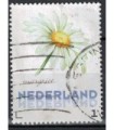 3012 Ac-03 Bloemen zomer margriet (o)