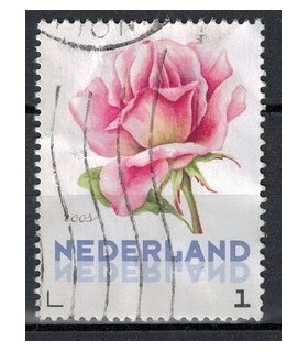 3012 Ac-03 Bloemen zomer roos (o)
