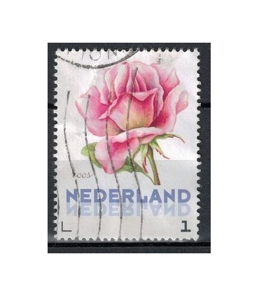 3012 Ac-03 Bloemen zomer roos (o)